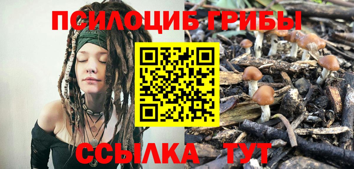 купить наркотик  Псилоцибиновые грибы ЛСД  Вход с VPN  Еманжелинск 