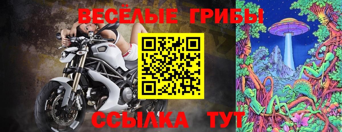 Псилоцибиновые грибы мицелий Еманжелинск